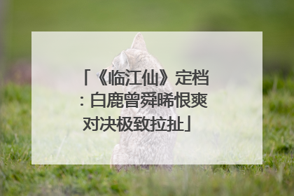 《临江仙》定档：白鹿曾舜晞恨爽对决极致拉扯