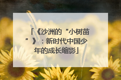 《沙洲的“小树苗”》：新时代中国少年的成长缩影