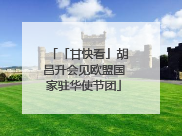 「甘快看」胡昌升会见欧盟国家驻华使节团