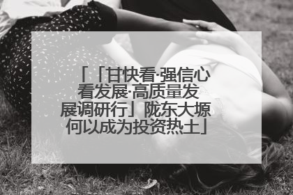 「甘快看·强信心 看发展·高质量发展调研行」陇东大塬何以成为投资热土