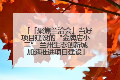 「聚焦兰洽会」当好项目建设的“金牌店小二” 兰州生态创新城加速推进项目建设