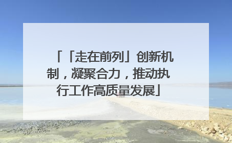 「走在前列」创新机制，凝聚合力，推动执行工作高质量发展