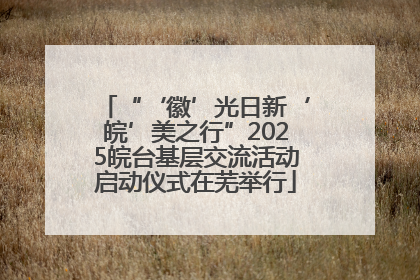 “‘徽’光日新‘皖’美之行”2025皖台基层交流活动启动仪式在芜举行