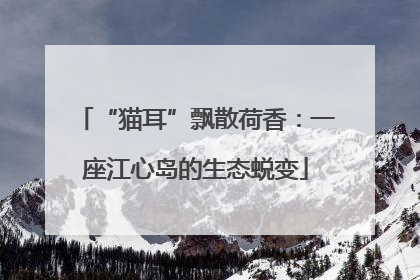 “猫耳”飘散荷香：一座江心岛的生态蜕变