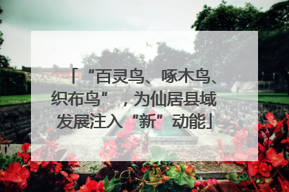 “百灵鸟、啄木鸟、织布鸟”，为仙居县域发展注入“新”动能