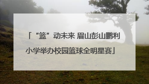 “篮”动未来 眉山彭山鹏利小学举办校园篮球全明星赛