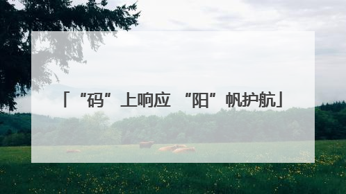 “码”上响应 “阳”帆护航