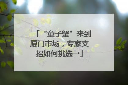 “童子蟹”来到厦门市场，专家支招如何挑选→