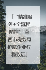 “精准服务+全流程防控” 莱西市税务局护航企业行稳致远