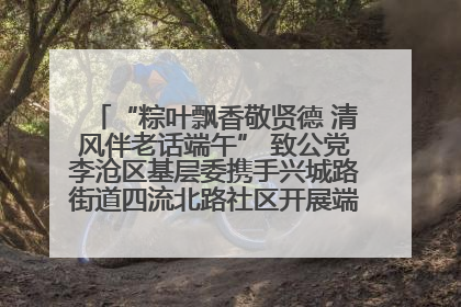 “粽叶飘香敬贤德 清风伴老话端午” 致公党李沧区基层委携手兴城路街道四流北路社区开展端午节主题活动