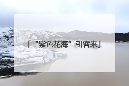 “紫色花海”引客来