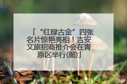 “红绿古金”四张名片惊艳亮相！吉安文旅招商推介会在青原区举行(图)