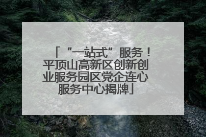 “一站式”服务！平顶山高新区创新创业服务园区党企连心服务中心揭牌