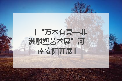 “万木有灵—非洲雕塑艺术展”河南安阳开展