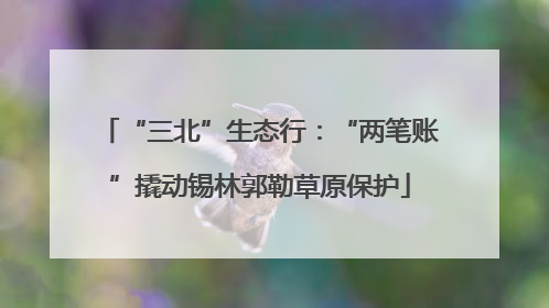 “三北”生态行：“两笔账”撬动锡林郭勒草原保护