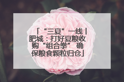 “三夏”一线丨肥城：打好夏粮收购“组合拳” 确保粮食颗粒归仓