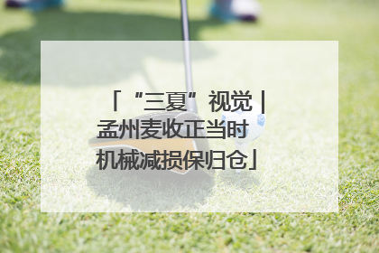 “三夏”视觉｜孟州麦收正当时 机械减损保归仓