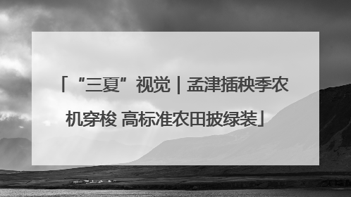 “三夏”视觉｜孟津插秧季农机穿梭 高标准农田披绿装
