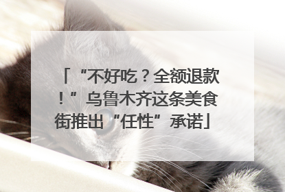 “不好吃？全额退款！”乌鲁木齐这条美食街推出“任性”承诺