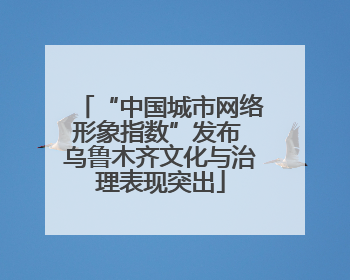 “中国城市网络形象指数”发布 乌鲁木齐文化与治理表现突出