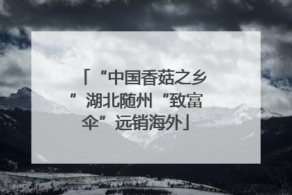 “中国香菇之乡”湖北随州“致富伞”远销海外