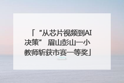 “从芯片视频到AI决策” 眉山彭山一小教师斩获市赛一等奖