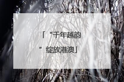 “千年越韵”绽放港澳