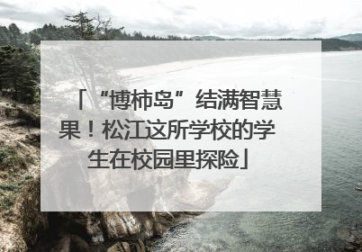 “博柿岛”结满智慧果！松江这所学校的学生在校园里探险