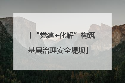 “党建+化解”构筑基层治理安全堤坝