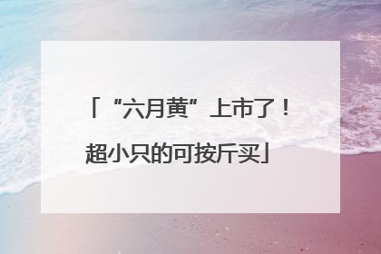 “六月黄”上市了！超小只的可按斤买
