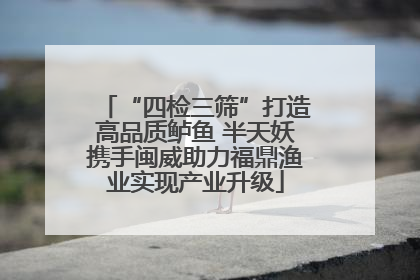 “四检三筛”打造高品质鲈鱼 半天妖携手闽威助力福鼎渔业实现产业升级