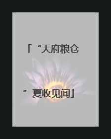 “天府粮仓”夏收见闻