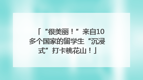 “很美丽！”来自10多个国家的留学生“沉浸式”打卡桃花山！