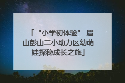 “小学初体验” 眉山彭山二小助力区幼萌娃探秘成长之旅