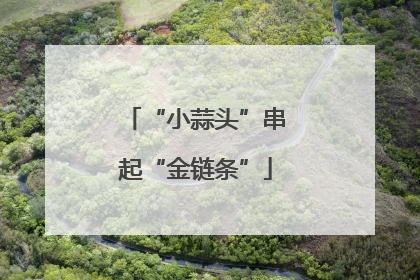 “小蒜头”串起“金链条”