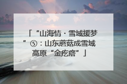 “山海情・雪域援梦”⑤：山东蘑菇成雪域高原“金疙瘩”