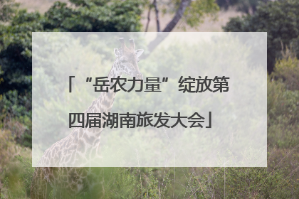 “岳农力量”绽放第四届湖南旅发大会