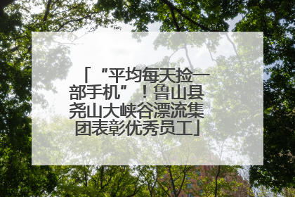 “平均每天捡一部手机”！鲁山县尧山大峡谷漂流集团表彰优秀员工