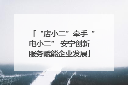 “店小二”牵手“电小二” 安宁创新服务赋能企业发展