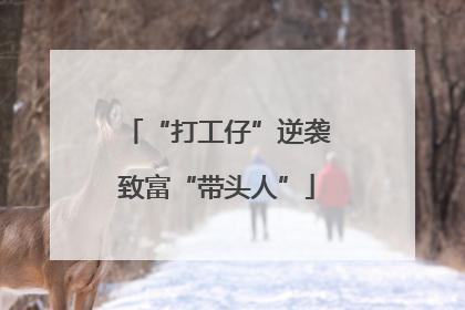 “打工仔”逆袭致富“带头人”