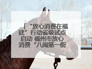“放心消费在福建”行动省级试点启动 福州市放心消费“八闽第一街”开街
