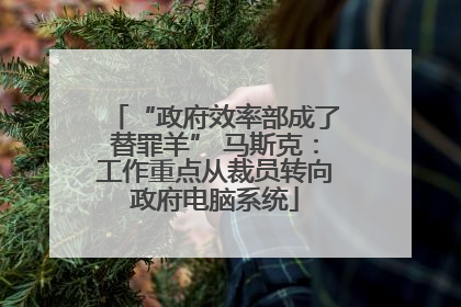 “政府效率部成了替罪羊” 马斯克：工作重点从裁员转向政府电脑系统