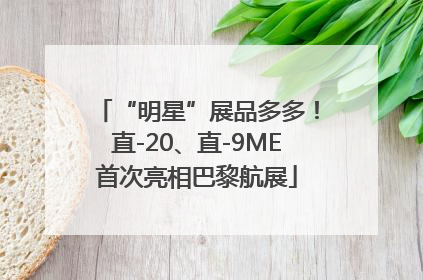 “明星”展品多多！直-20、直-9ME首次亮相巴黎航展