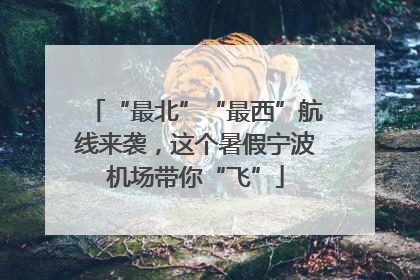 “最北”“最西”航线来袭，这个暑假宁波机场带你“飞”