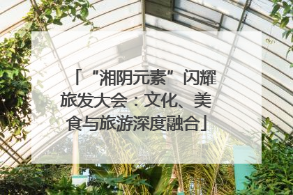 “湘阴元素”闪耀旅发大会：文化、美食与旅游深度融合