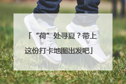 “荷”处寻夏？带上这份打卡地图出发吧