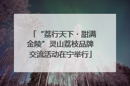 “荔行天下・甜满金陵”灵山荔枝品牌交流活动在宁举行