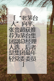 “老茅台人”向平、张贵超获推荐为茅台集团副总经理人选，后者是集团最年轻党委委员