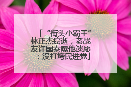 “街头小霸王”林正杰癌逝，老战友许国泰曝他遗愿：没打垮民进党