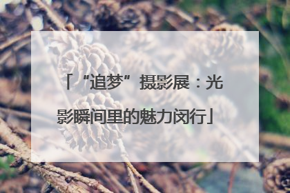 “追梦”摄影展：光影瞬间里的魅力闵行